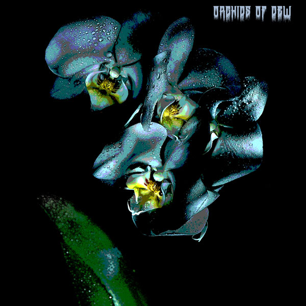 Copertina single album Orchids of Dew dei Fear Funeral